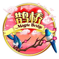 申花将派两队参加“Soccer7sSeries”七人制国际足球邀请赛